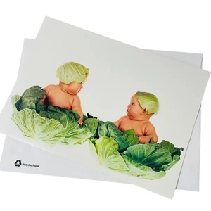 Anne Geddes 1993 Cabbages Blank Greeting Card W Recycled Paper Envelope Vintage - Picture 1 of 9
