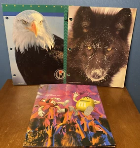 LOT OF 3 VINTAGE 90s 3 Hole School Folders - M & M Promo MEAD Nature Eagle Wolf - Picture 1 of 18
