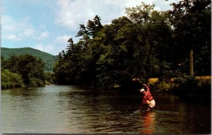 FISHING in a RIVER "Finally Hooked Him!" Postcard - Picture 1 of 2
