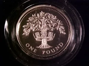 GREAT BRITAIN 1 POUND SILVER PROOF PIEDFORT 1987 GEM CAMEO IN RED CASE WITH COA - Picture 1 of 2