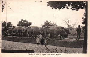 CARTE POSTALE CHARLEVILLE ARDENNES 08 - SQUARE DU VIEUX MOULIN - ATTELAGE BOEUFS - Picture 1 of 2
