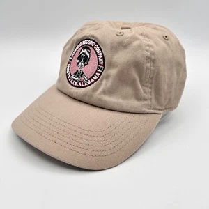 EUC Tan Downing Record Co. Huntsville, AL Adjustable Cap - Picture 1 of 5