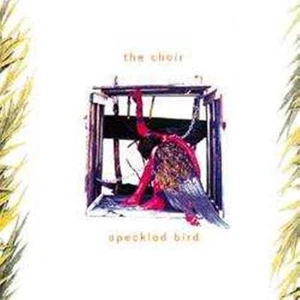 The Choir-Speckled Bird (*NEU*)(UVP 17,99 €) - Imagen 1 de 1