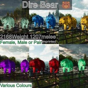 Ark Survival Ascended Pve Dire Bear Max Level 362 - Picture 1 of 25