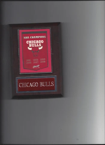 CHICAGO BULLS PLAQUE NBA CHAMPIONS CHAMPS BASKETBALL NBA Cover