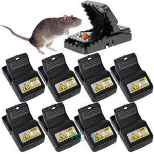 12x Reusable Mouse Traps Rat Mice Killer Mouse Snap Trap Power Rodent Heavy Duty - Picture 1 of 30