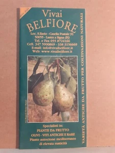 Vivai Belfiore 2010/2011 - Schildplatte  - Bild 1 von 1