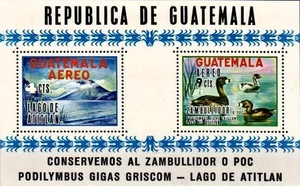 Stamps, Guatemala, 1970, Sc C448a, MNH Souvenir Sheet, Zambullidor Ducks-Lot 422 - Picture 1 of 1