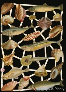 Chatarra troquelada estilo vintage en relieve alemán - peces y conchas y caracoles EF7247 - Imagen 1 de 1