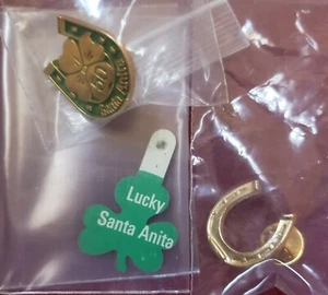 (3) SANTA ANITA St. Patrick's Day Pins 1985 50th Shamrock Lucky SA /Horse Shoe - Picture 1 of 5