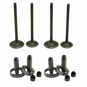 2* Intake Exhaust Valves & Guide Valve Seal for Kawasaki KXF250 KX250F 2004-2016 - Bild 1 von 5