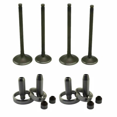 2* Intake Exhaust Valves & Guide Valve Seal for Kawasaki KXF250 KX250F 2004-2016 Foto 1 de 4