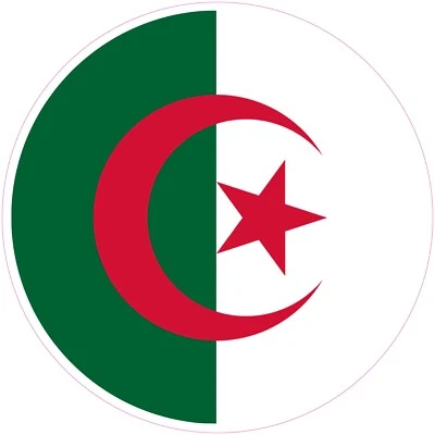 SISER (NOT A PATCH) Algeria Country Round Shape Flag Heat Transfer Vinyl Iron On HTV