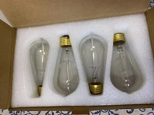 Hudson Lighting The Vintage Collection 60W Edison ST64 warm white 4pk - Picture 1 of 5