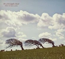 What We Have Sown von The Pineapple Thief | CD | Zustand sehr gut - Bild 1 von 2