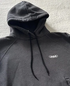 Nike Lion Lebron James Hoodie Strive For Greatness Dark Gray Men’s Size Medium - Picture 1 of 8