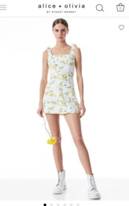 Alice + Olivia Maryann Tie Shoulder Dress Vintage  Size 0, Retail Price $395 - Picture 1 of 12