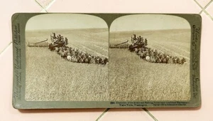 Stereoscope Card 1902 33 Horse Harvester Combine Walla Walla Washington Sickle - Picture 1 of 3
