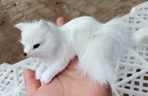 lindo juguete de simulación zorro acostado resina y piel blanco muñeca regalo unos 11x6cm - Imagen 1 de 1