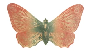 Cheney Toledo Ohio Die Cut Balancing Butterfly Halls Catarrh Cure Family Pill C1 - Picture 1 of 2