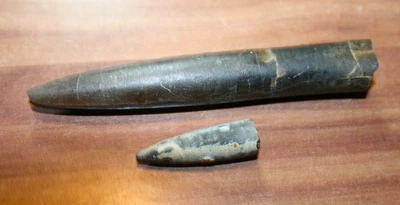 Versteinerungen Belemniten - 2 Stück - 10 cm und 3 cm - Bild 1 von 2