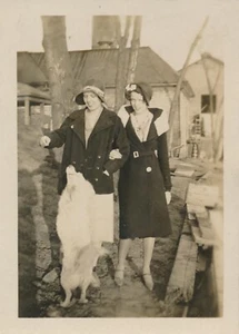 Schnappschuss Vintage Foto junge Frauen Arme verbunden Hut Cloche Hund betteln Tier Haustier - Bild 1 von 5