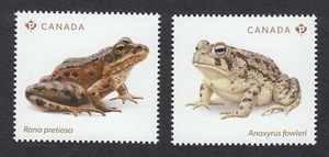 qq. ENDANGERED FROGS = frog, toad = Pair from Souvenir Sheet MNH Canada 2024 - Picture 1 of 1