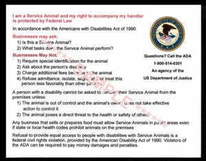 SERVICE DOG INFORMATION & RIGHTS CARDs package of 4 - Picture 1 of 1