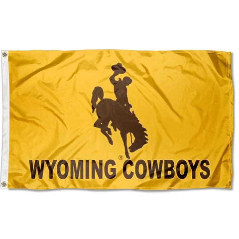 Wyoming Cowboys Wordmark Flag Large 3x5 Cover