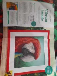 Kreuzstichkarte Scharlacharrote Ara Seiten aus Magazin entnommen - Bild 1 von 6