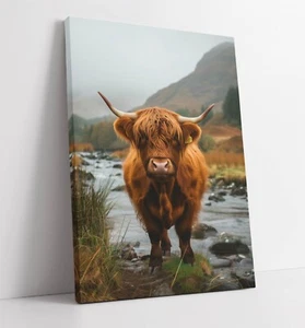 HIGHLAND COW IN SCOTTISH HIGHLANDS - LIENZO ENMARCADO ARTE DE PARED IMPRESIÓN DE IMAGEN - Imagen 1 de 2