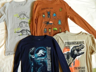 Boys size L 14/16 Shirts Dinosaur Beetle Bugs - Image 1 of 4