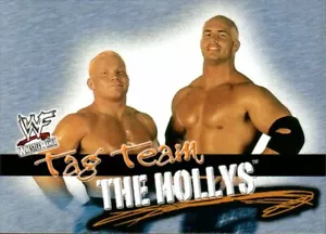 2001 Tarjeta de lucha libre vintage Fleer WWF Wrestlemania #77 The Hollys - Imagen 1 de 2