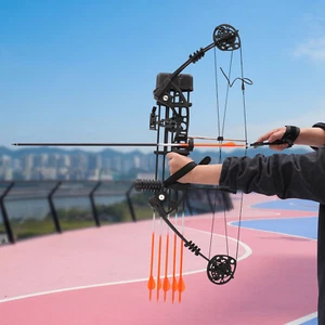 35-70lbs Pro Compound Right Hand Bow Arrow Kit Archery Arrow Target Hunting Set - Picture 1 of 16