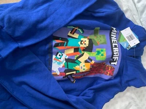 NWT BOYS MINECRAFT SWEATSHIRT SIZE L 14/16 - Picture 1 of 1