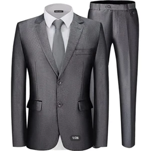Magier Männlich Silber 2 Teiler Anzug 2 Knopf Slim Fit Kerbkragen Herren Große 42R 36W - Bild 1 von 6