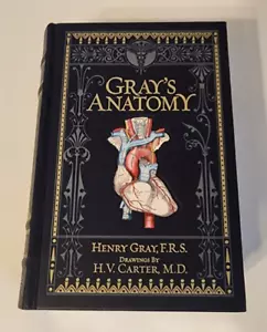 Gray's Anatomy medizinische Referenz Henry Gray Barnes & Noble Brandneu 15. Auflage HC 2010 - Bild 1 von 13