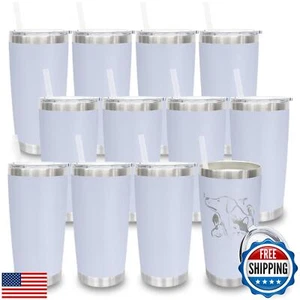 20 oz Tumblers Bulk, Stainless Steel Tumbler with Lid and Straw, Vacuum Doubl - Picture 1 of 5