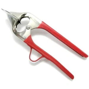 Sea Urchin Splitter DS-UN2535 c/w 1 spoon for sea urchin - Picture 1 of 7