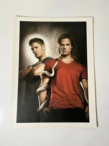 Supernatural Culturefly Kunstdruck Dean und Sam mit weißer Schlange Staffel 6 9x12 - Bild 1 von 4