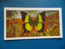 Great Britain Brooke Bond original 1964 teacard "Butterflies of the World" No.15