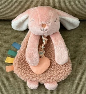Itzy Ritzy Baby Lovey Plush Pink Bunny with Silicone Teether Toy Rabbit - Picture 1 of 4