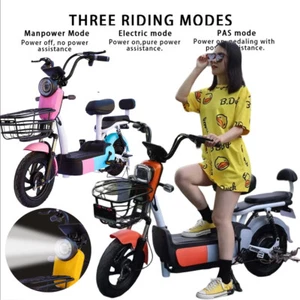 Electric Bicycle 1000W Climbing Motor Two-Seat Electric Bikes eBike With battery - Picture 1 of 17