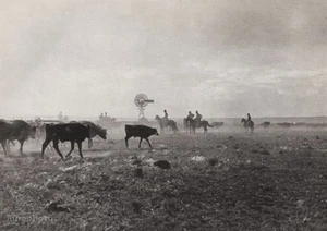 1908/52 Vintage WESTERN COWBOY PFERD Kuh Rinder 11x14 Fotokunst ~ ERWIN E. SMITH - Bild 1 von 1