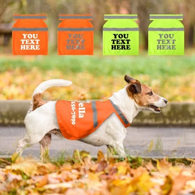 Reflective Personalized High Visibility Dog Safety Vest for Hunting Training - Image 1 of 4