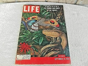 Life Magazine - September 20, 1954 - Rain Forests Feature LABELED - Imagen 1 de 8
