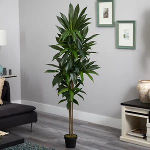 6 Ft Dracaena Artificial Silk Plant Real Touch Home Decor. Retail $133 - Picture 1 of 3