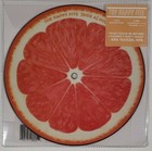 The Happy Fits - Grapefruit - RSD Black Friday - 7" Picture Disc - Limited - New