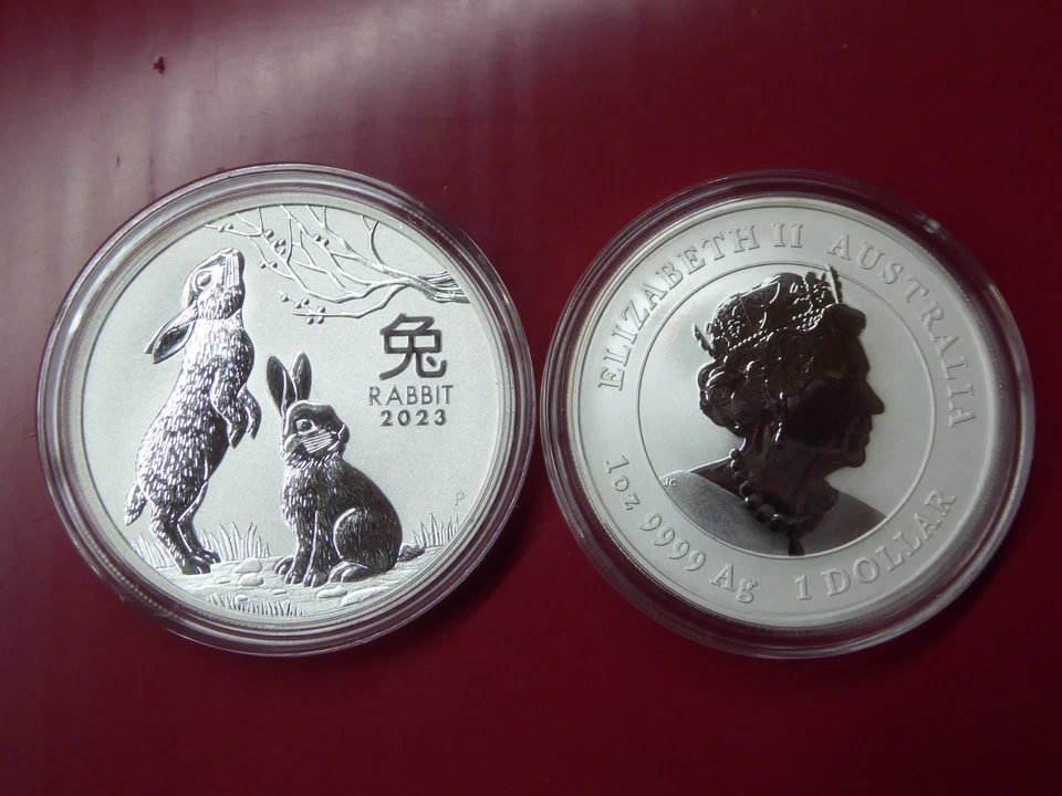 Lunar Hase Australien Silber 2023 1 Unze 31,1 g Ag Gesucht orig.  Kapsel TOP - Bild 1 von 1