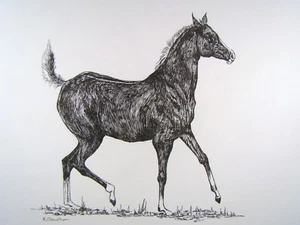 Frisky Horse Colt Filly - Orig. VTG Pen & Ink Drawing by K. Christian - 1980's - Picture 1 of 4